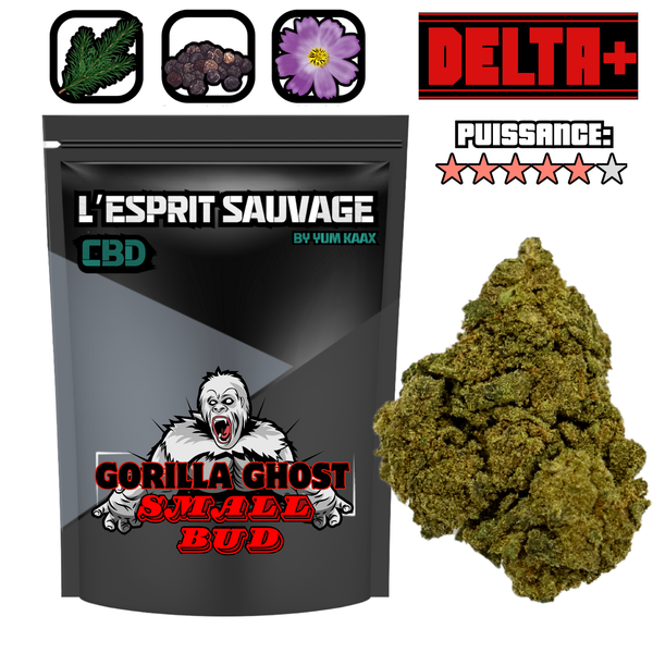 Gorilla Ghost | Small Bud | 10% 10-OH-HHC