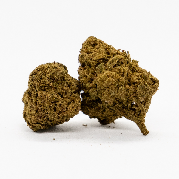 Gorilla Ghost | Small Bud | 10% 10-OH-HHC