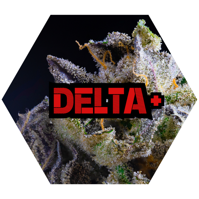 DELTA+