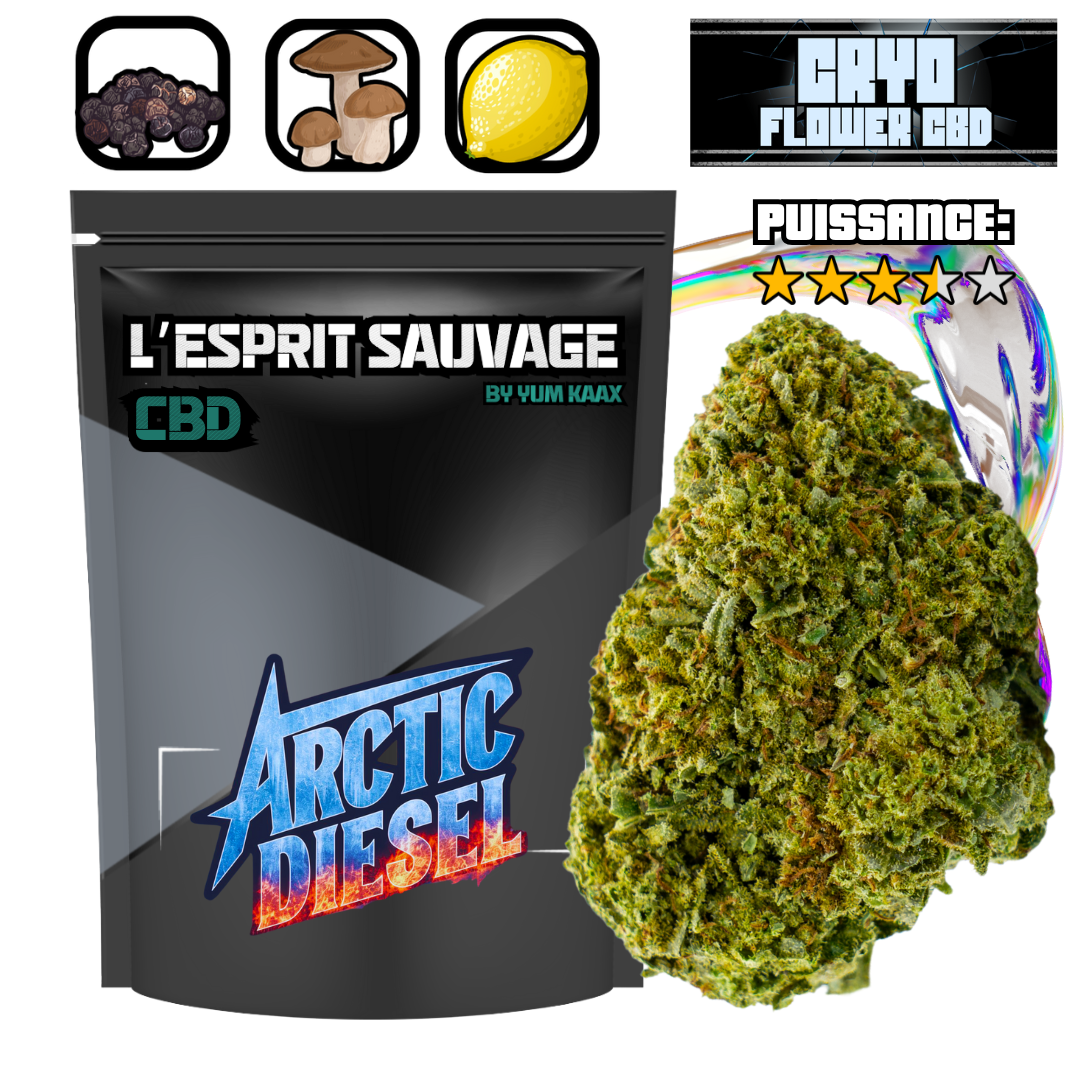 Arctic Diesel | Cryo | 4.55% CBD