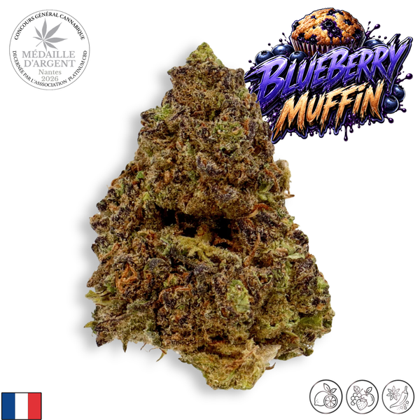 Blueberry Muffin | Greenhouse | 17% CBD