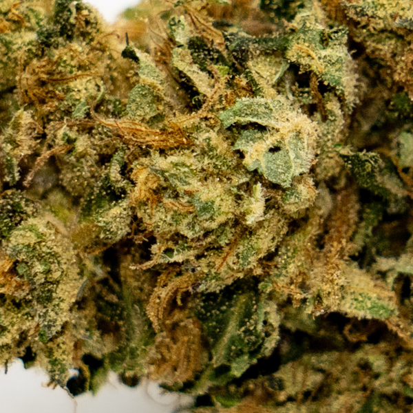 Dark Saphir | Happy Pousse | 8,4% CBD