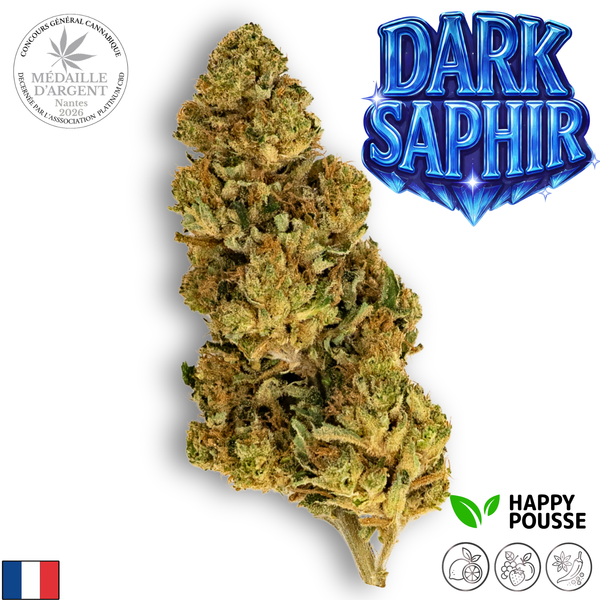 Dark Saphir | Happy Pousse | 8,4% CBD