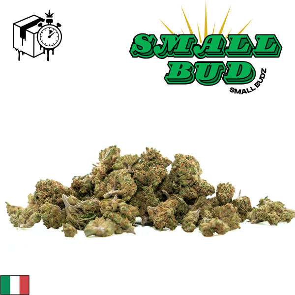 Small Bud CBD | Greenhouse