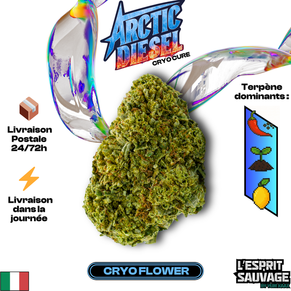 Arctic Diesel | Cryo | 4.55% CBD