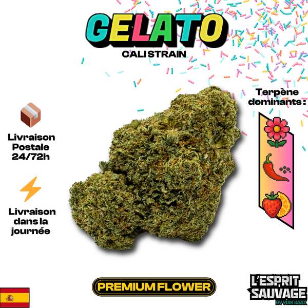 Gelato | Cali Strain | 13,30% CBD