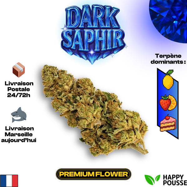Dark Saphir | Happy Pousse | 8,4% CBD