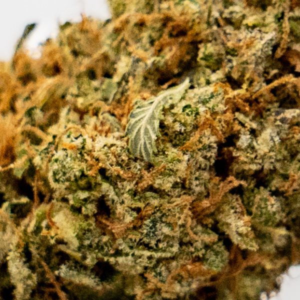 Lemon Grace | Happy Pousse 🏆 | 17% CBD