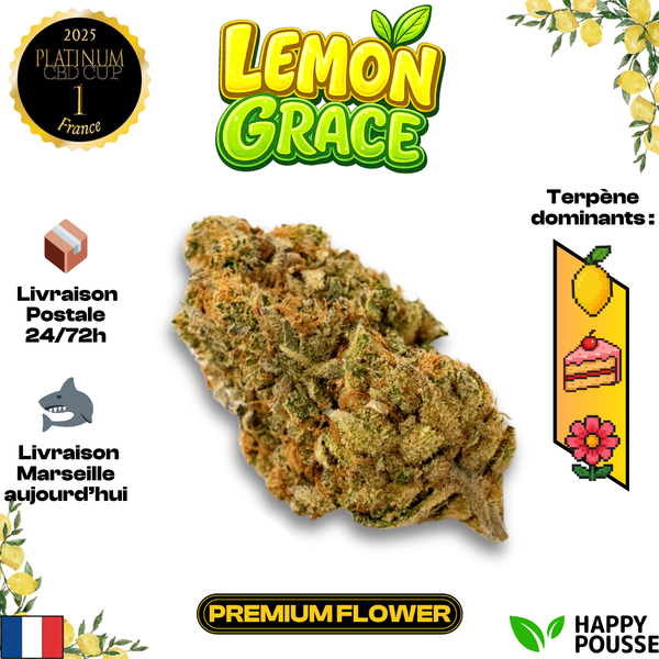 Lemon Grace | Happy Pousse 🏆 | 17% CBD