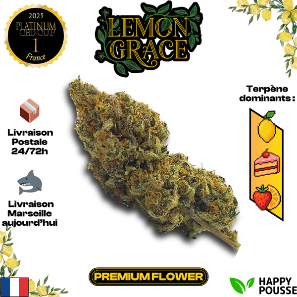 Lemon Grace | Happy Pousse 🏆 | 17% CBD