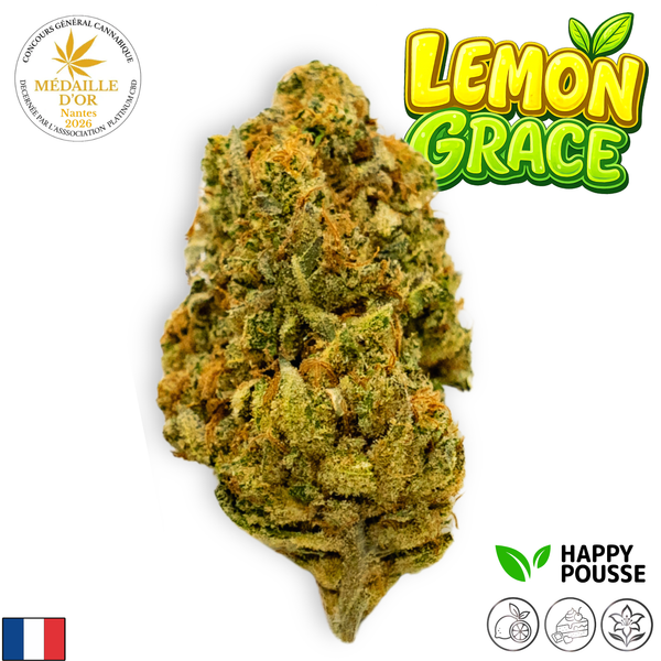 Lemon Grace | Happy Pousse 🏆 | 17% CBD