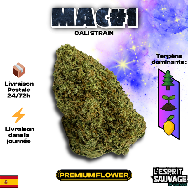 MAC 1 | Cali Strain | 14,36% CBD