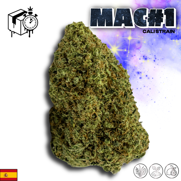 MAC 1 | Cali Strain | 14,36% CBD