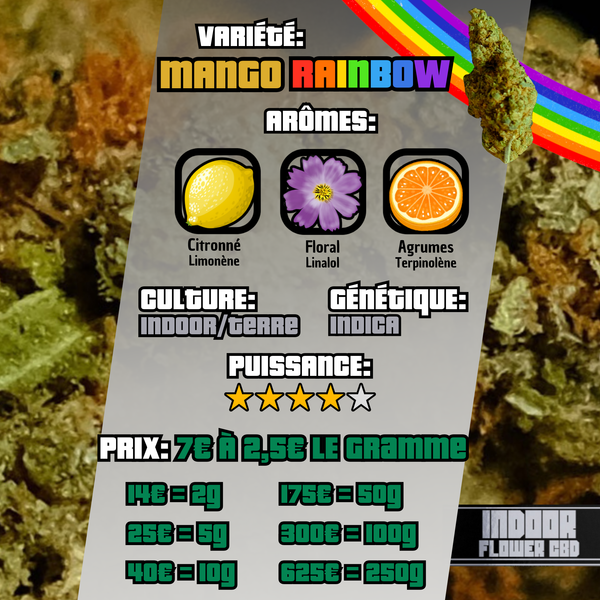 Mango Rainbow | Indoor | 15,01% CBD