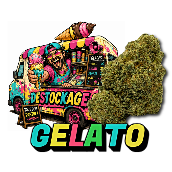 Promo du Moment – Promo Gelato 🍦