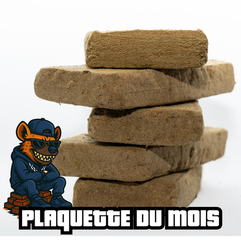 Plaquette du Mois – Résine, Hash, Pollen CBD pas cher 💥