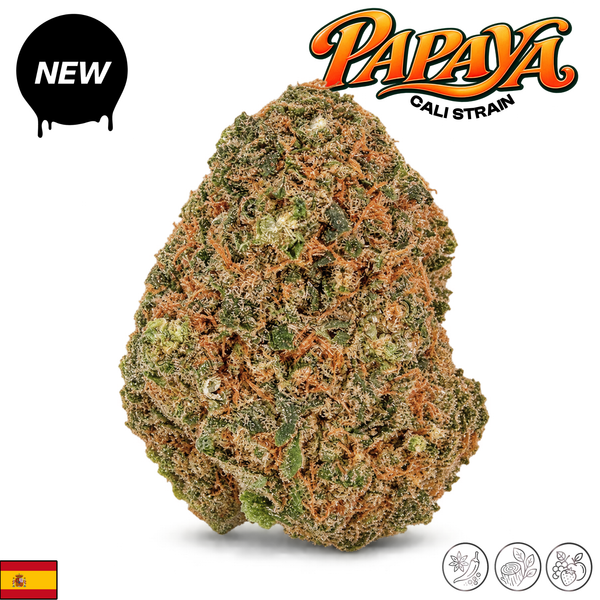 Papaya | Cali Strain | 15% CBD