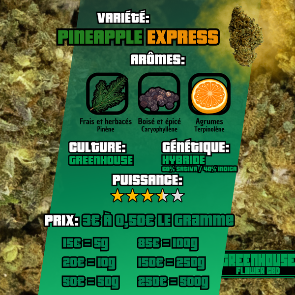 Pineapple Express | Small Bud | 3,96% CBD