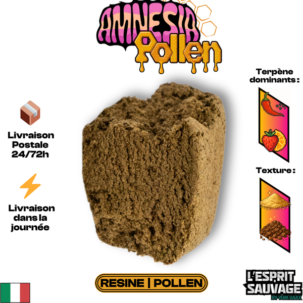 Pollen Amnésia | Pollen | 49,72% CBD