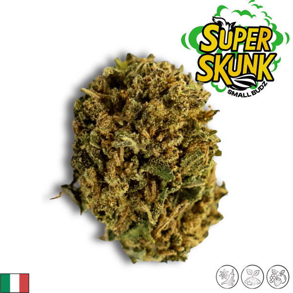 Super Skunk | Small Bud | 4,16% CBD