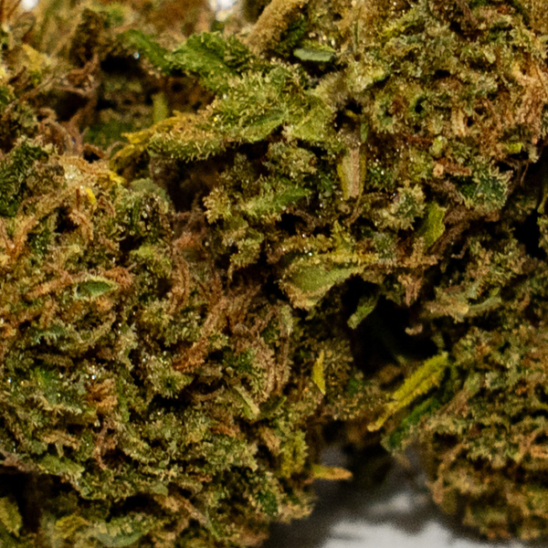 Wedding Cake | Ferme En Herbe | 15% CBD