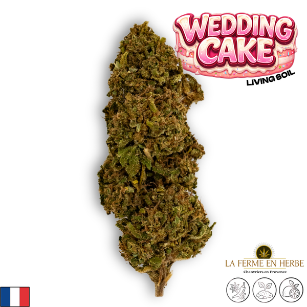 Wedding Cake | Ferme En Herbe | 15% CBD