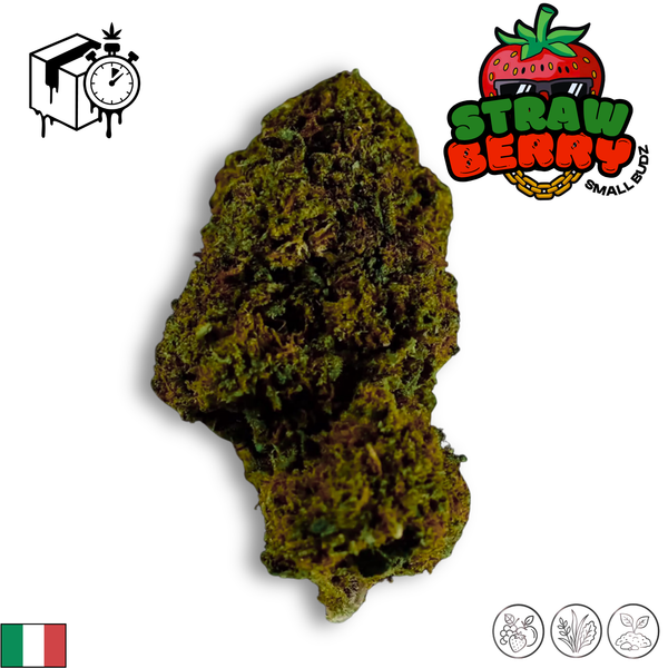 StrawBerry V3 | Small Bud | 4,1% CBD