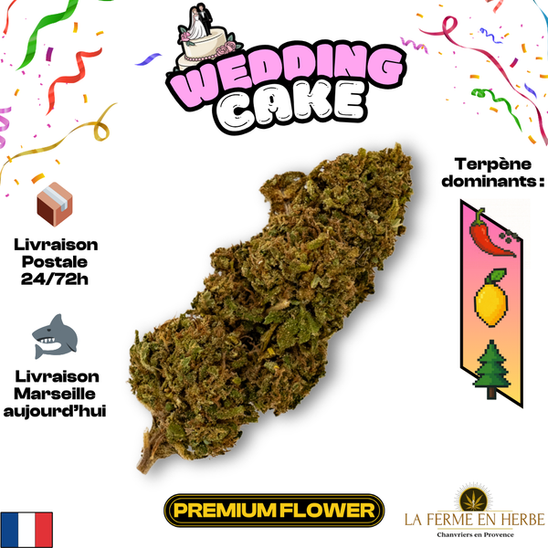Wedding Cake | Ferme En Herbe | 15% CBD