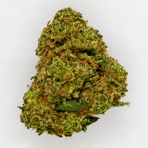Blueberry | Hydro | 13% CBD