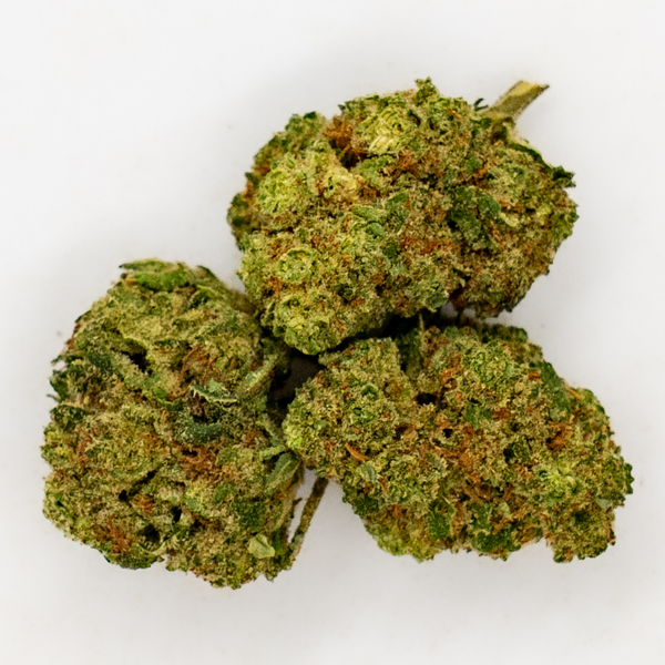 Blueberry | Hydro | 13% CBD